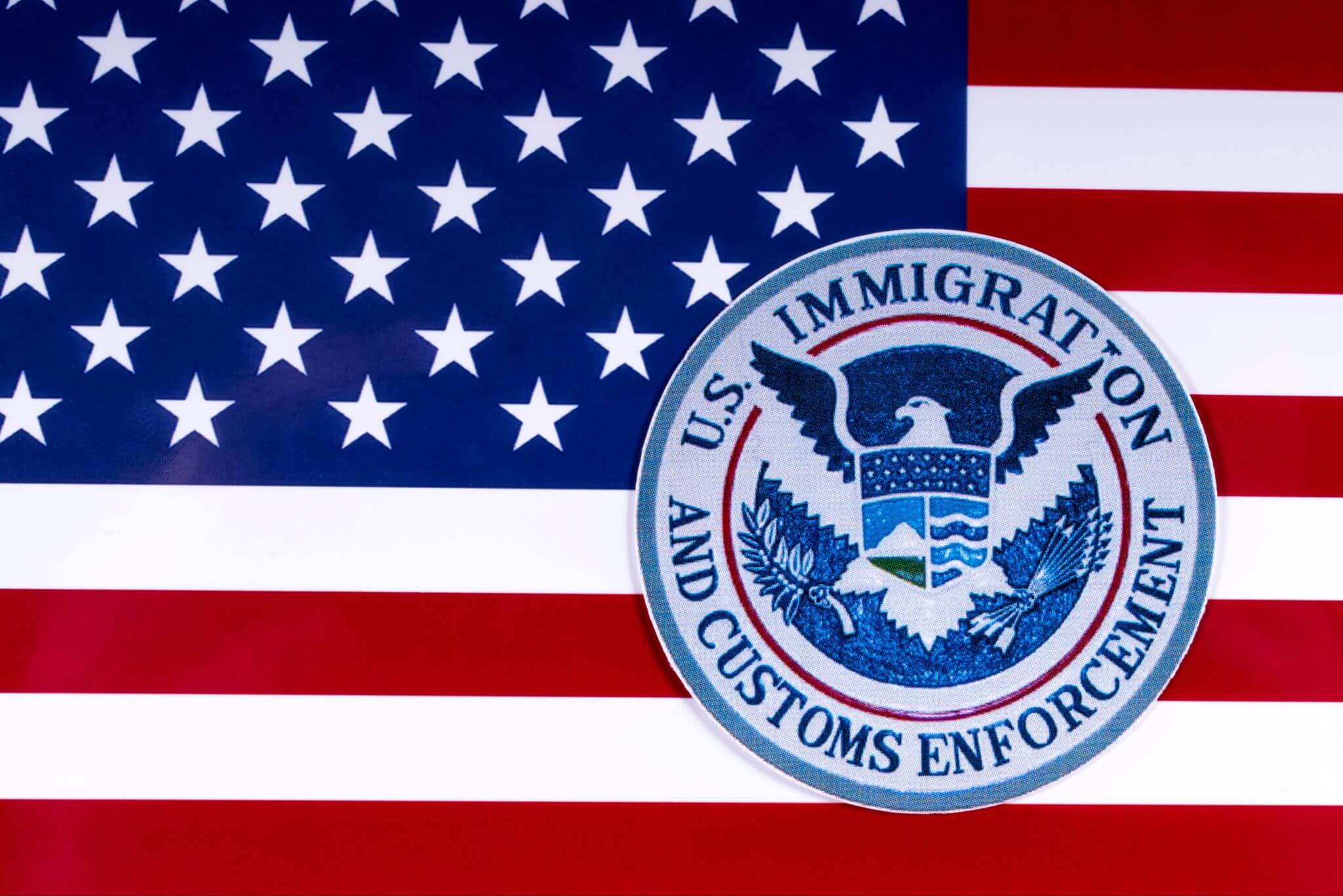 United States flag with the Immigration logo