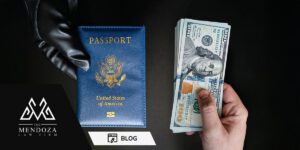 Blog cover image for: Immigration Fraud in the VAWA Visa