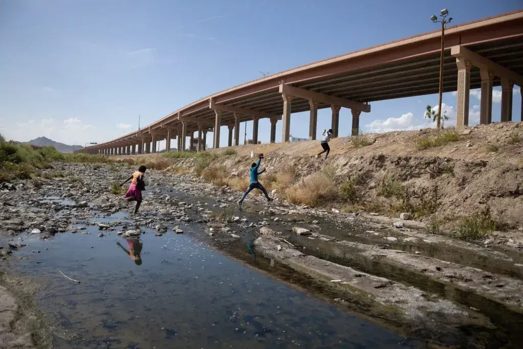 Examples of mistreatment from coyotes