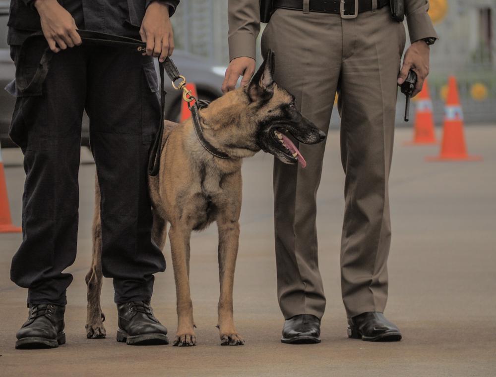 Can You Refuse to Talk to Border Patrol?